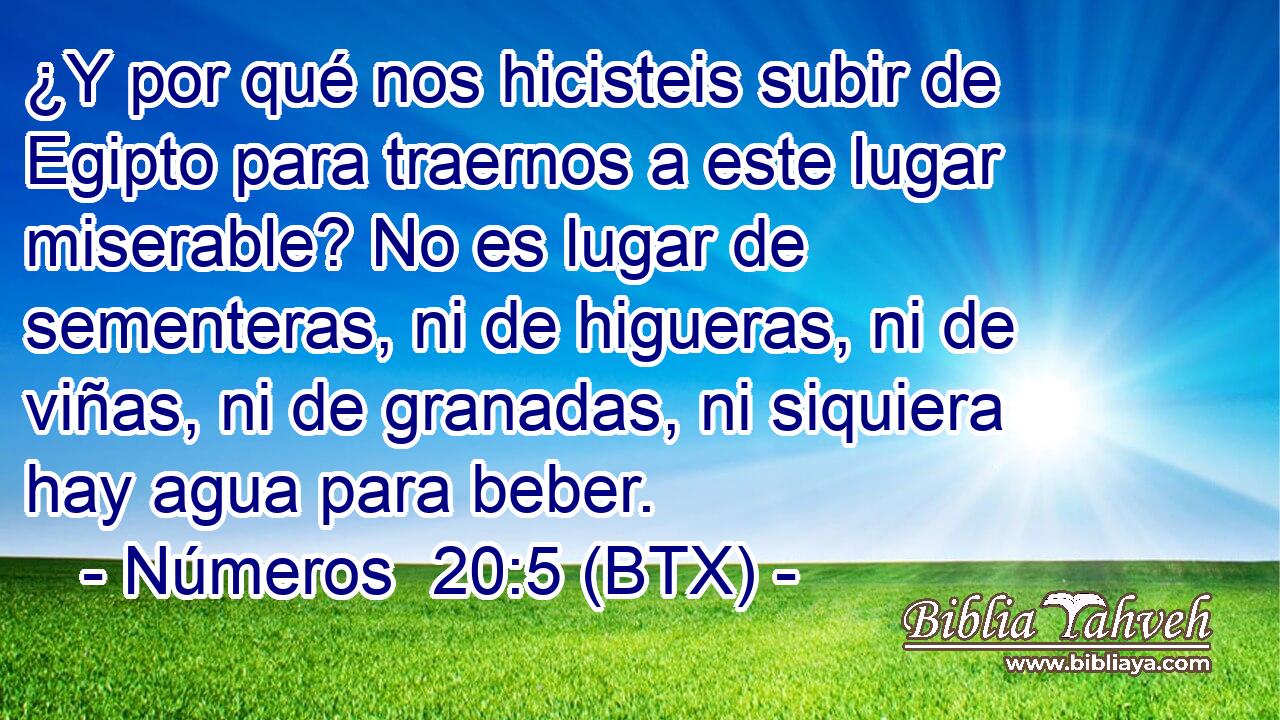 ¿Y por qué nos hicisteis subir de Egipto para traernos a este lugar miserable? No es lugar de sementeras, ni de higueras, ni de viñas, ni de granadas, ni siquiera hay agua para beber.