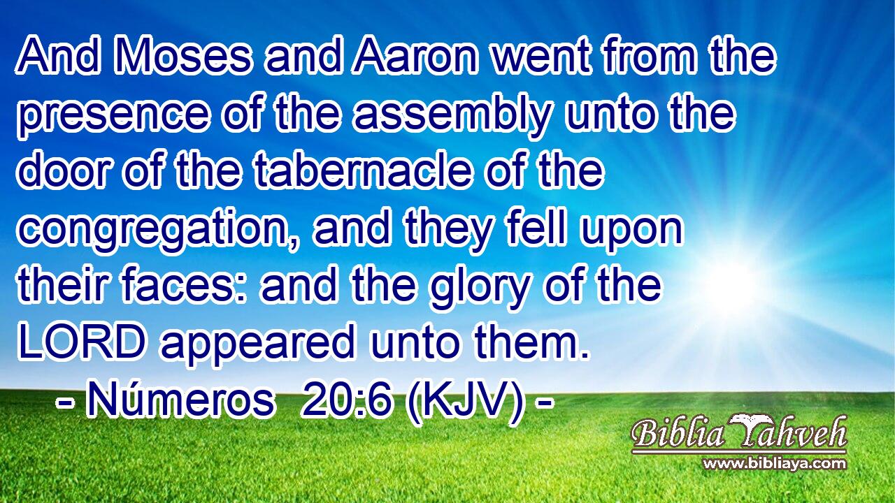 And Moses and Aaron went from the presence of the assembly unto the door of the tabernacle of the congregation, and they fell upon their faces: and the glory of the LORD appeared unto them.
