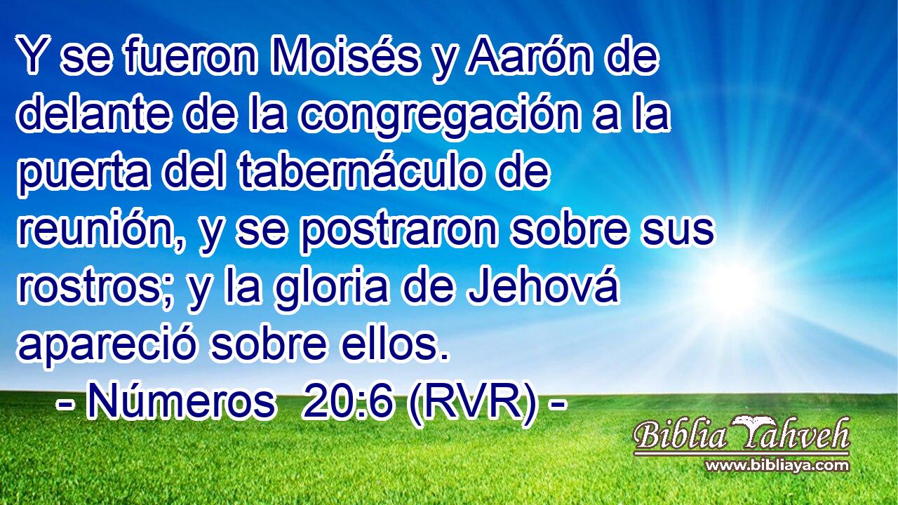 Y se fueron Moisés y Aarón de delante de la congregación a la puerta del tabernáculo de reunión, y se postraron sobre sus rostros; y la gloria de Jehová apareció sobre ellos.