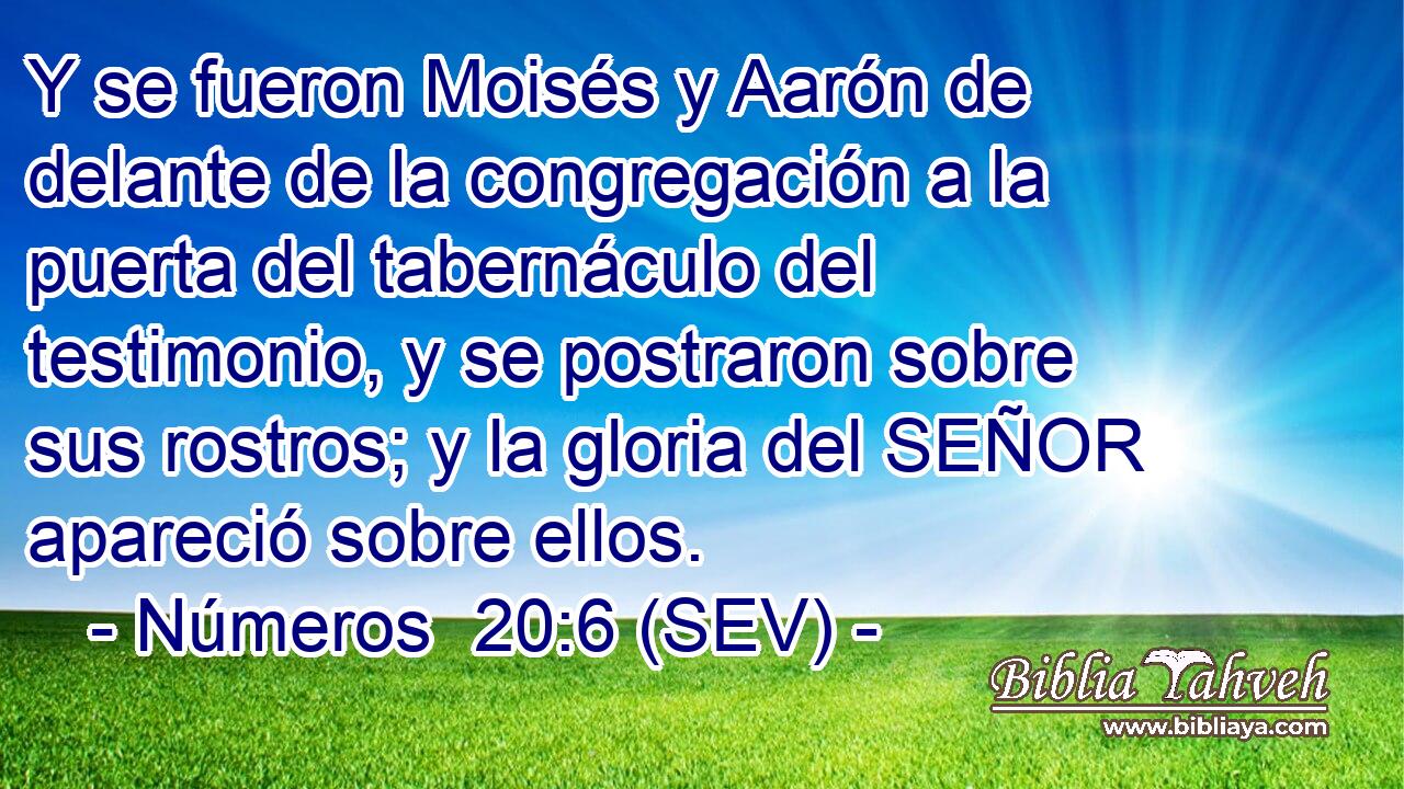 Y se fueron Moisés y Aarón de delante de la congregación a la puerta del tabernáculo del testimonio, y se postraron sobre sus rostros; y la gloria del SEÑOR apareció sobre ellos.