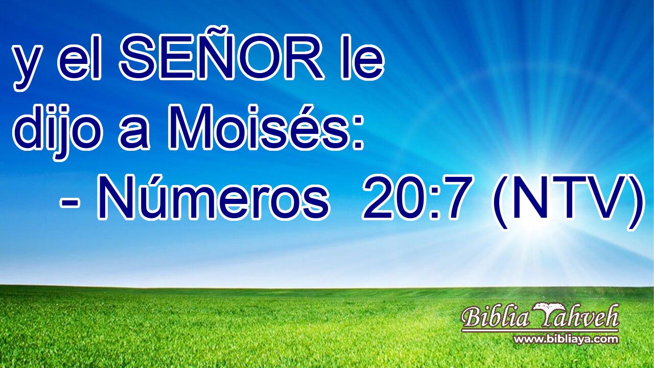y el SEÑOR le dijo a Moisés: