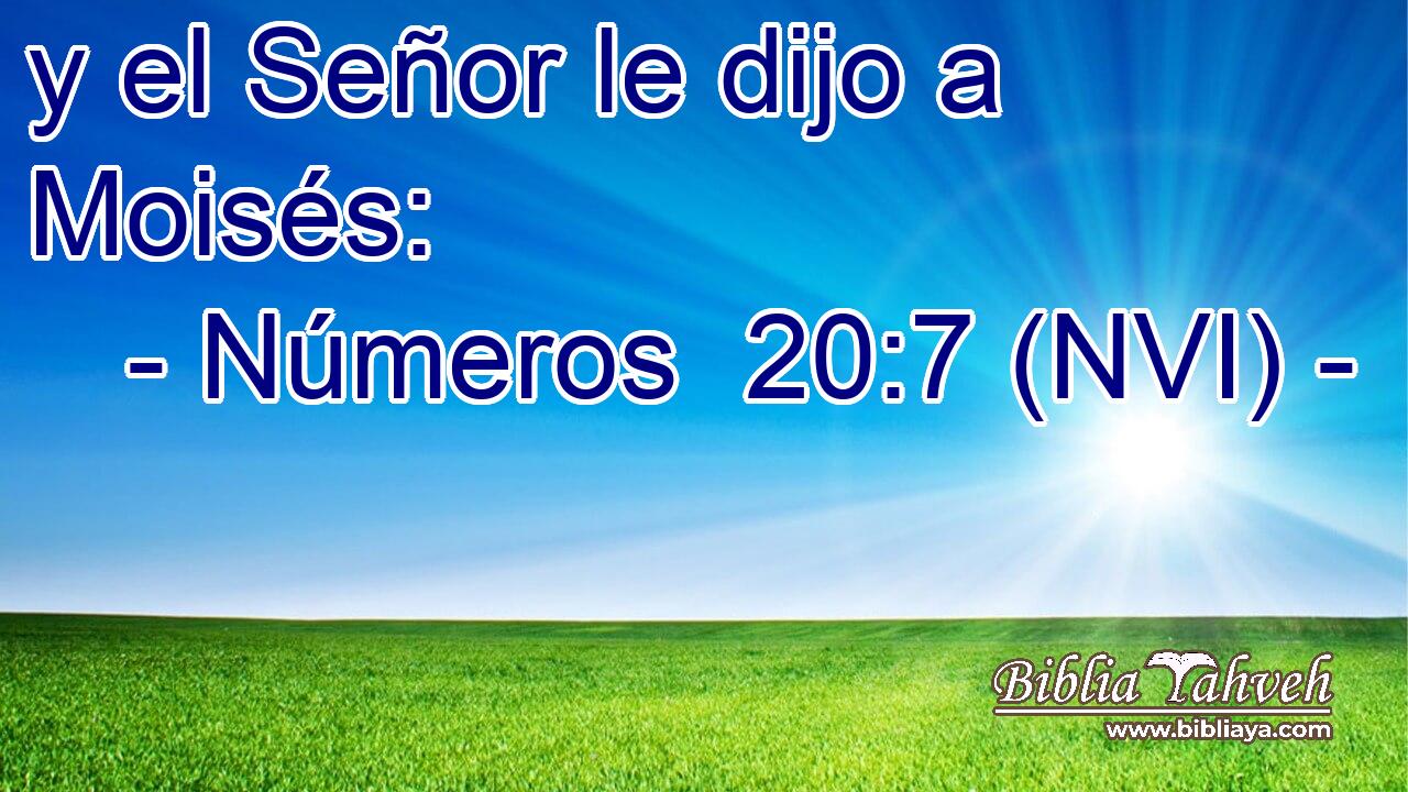 y el Señor le dijo a Moisés: 