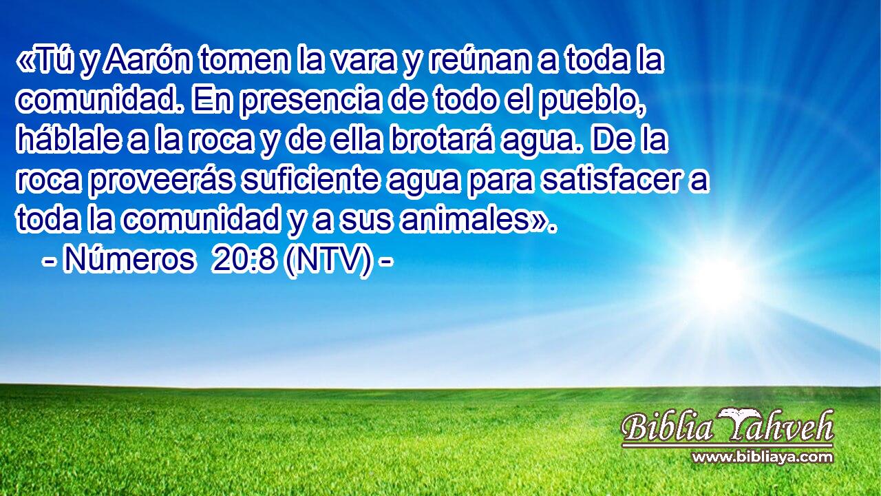 «Tú y Aarón tomen la vara y reúnan a toda la comunidad. En presencia de todo el pueblo, háblale a la roca y de ella brotará agua. De la roca proveerás suficiente agua para satisfacer a toda la comunidad y a sus animales».