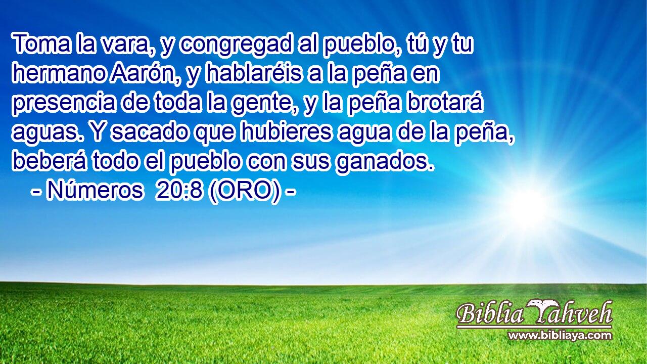  Toma la vara, y congregad al pueblo, tú y tu hermano Aarón, y hablaréis a la peña en presencia de toda la gente, y la peña brotará aguas. Y sacado que hubieres agua de la peña, beberá todo el pueblo con sus ganados. 