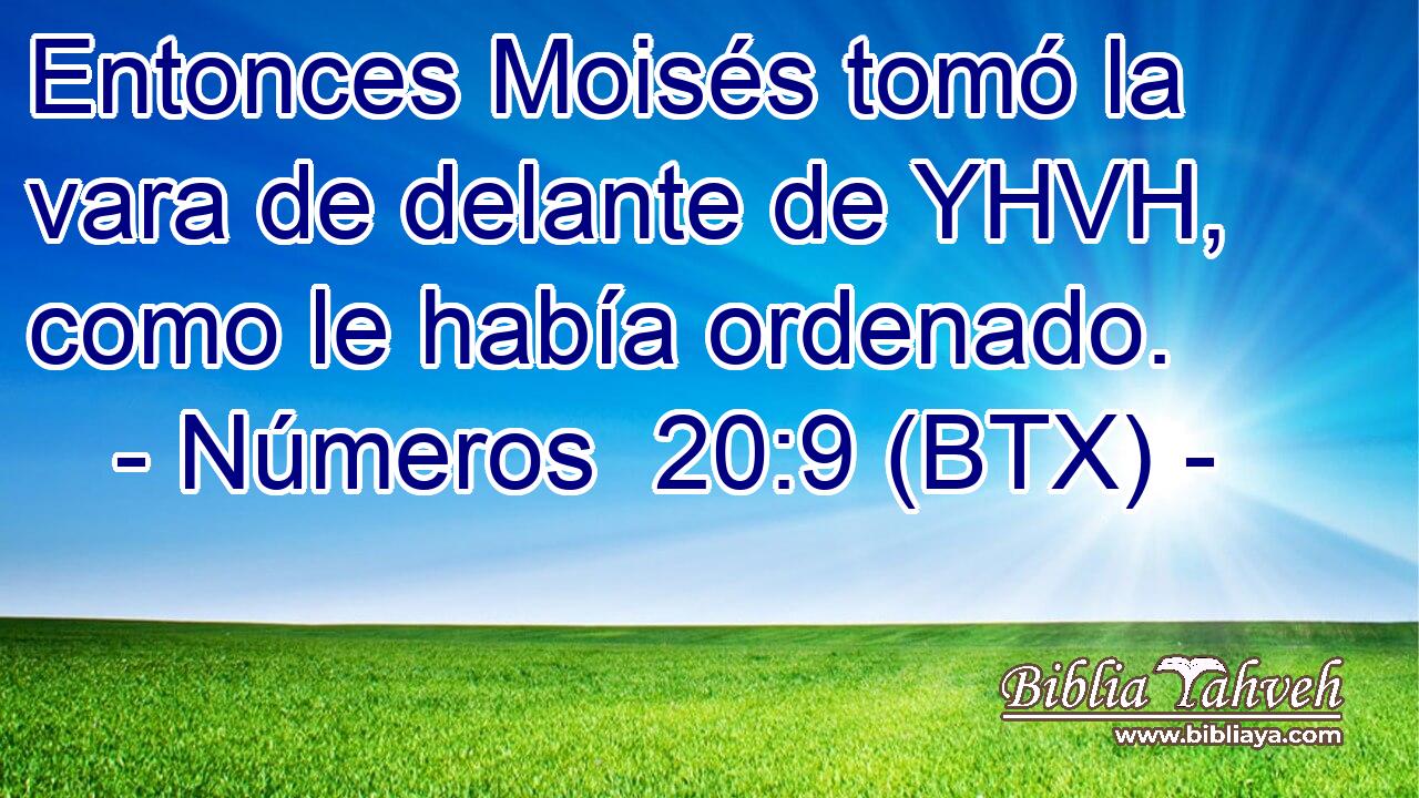 Entonces Moisés tomó la vara de delante de YHVH, como le había ordenado.