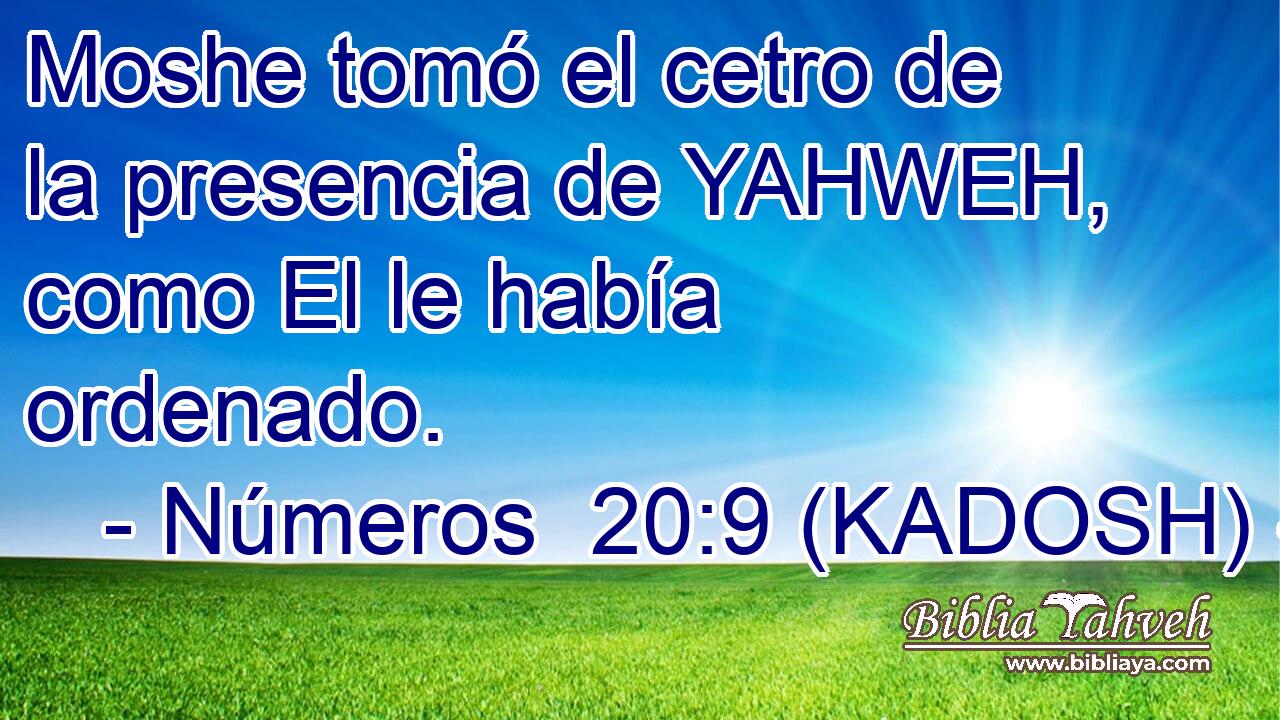  Moshe tomó el cetro de la presencia de YAHWEH, como El le había ordenado. 