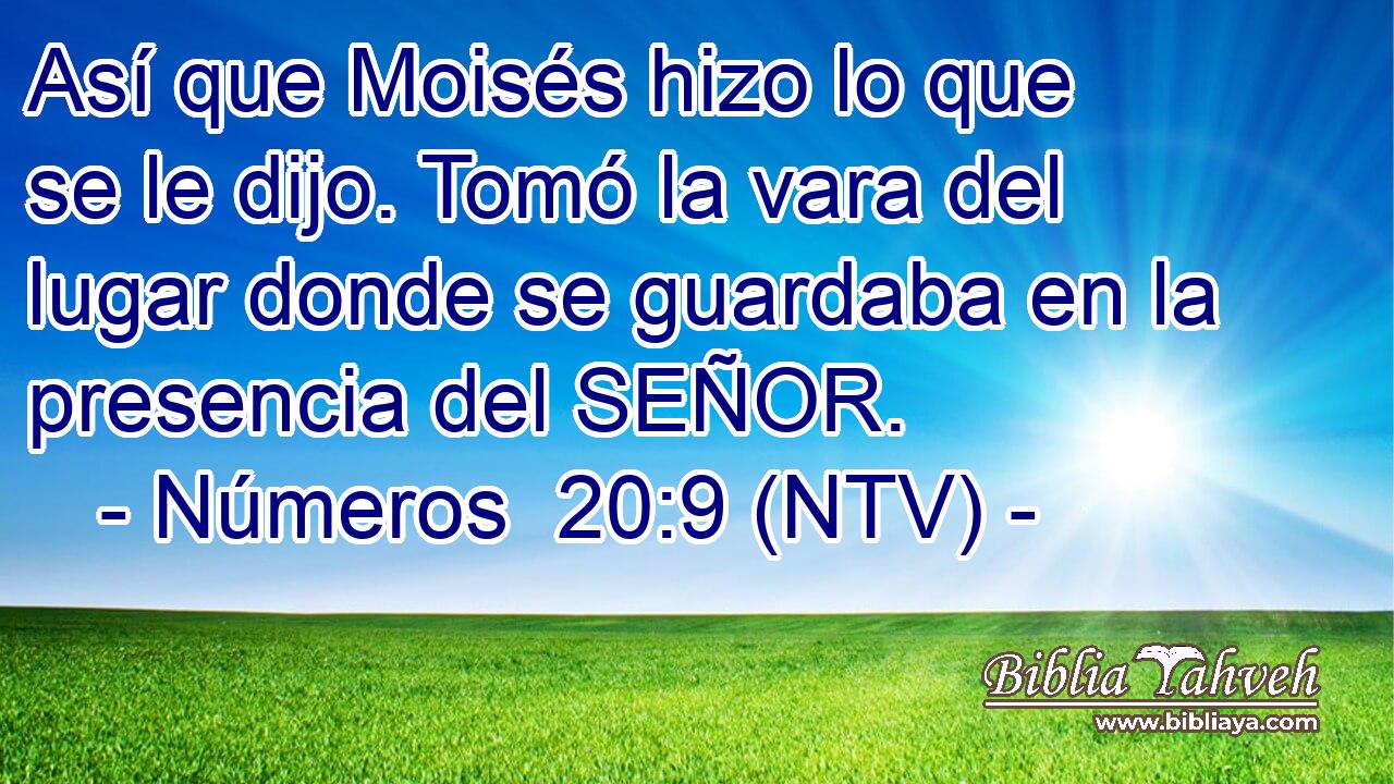 Así que Moisés hizo lo que se le dijo. Tomó la vara del lugar donde se guardaba en la presencia del SEÑOR.