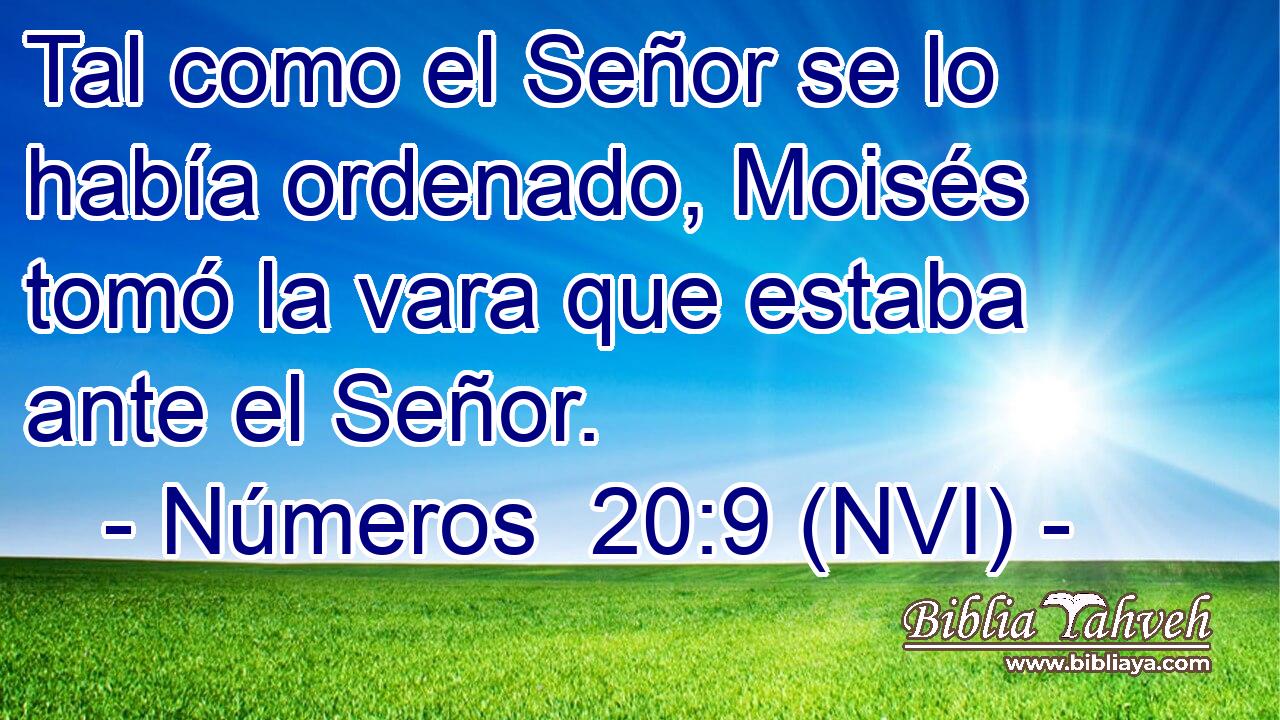  Tal como el Señor se lo había ordenado, Moisés tomó la vara que estaba ante el Señor. 