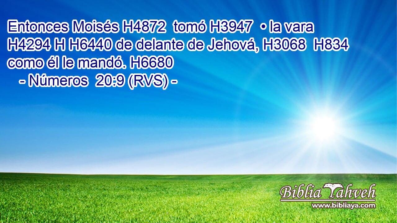 Entonces Moisés H4872  tomó H3947  • la vara H4294 H H6440 de delante de Jehová, H3068  H834 como él le mandó. H6680  
