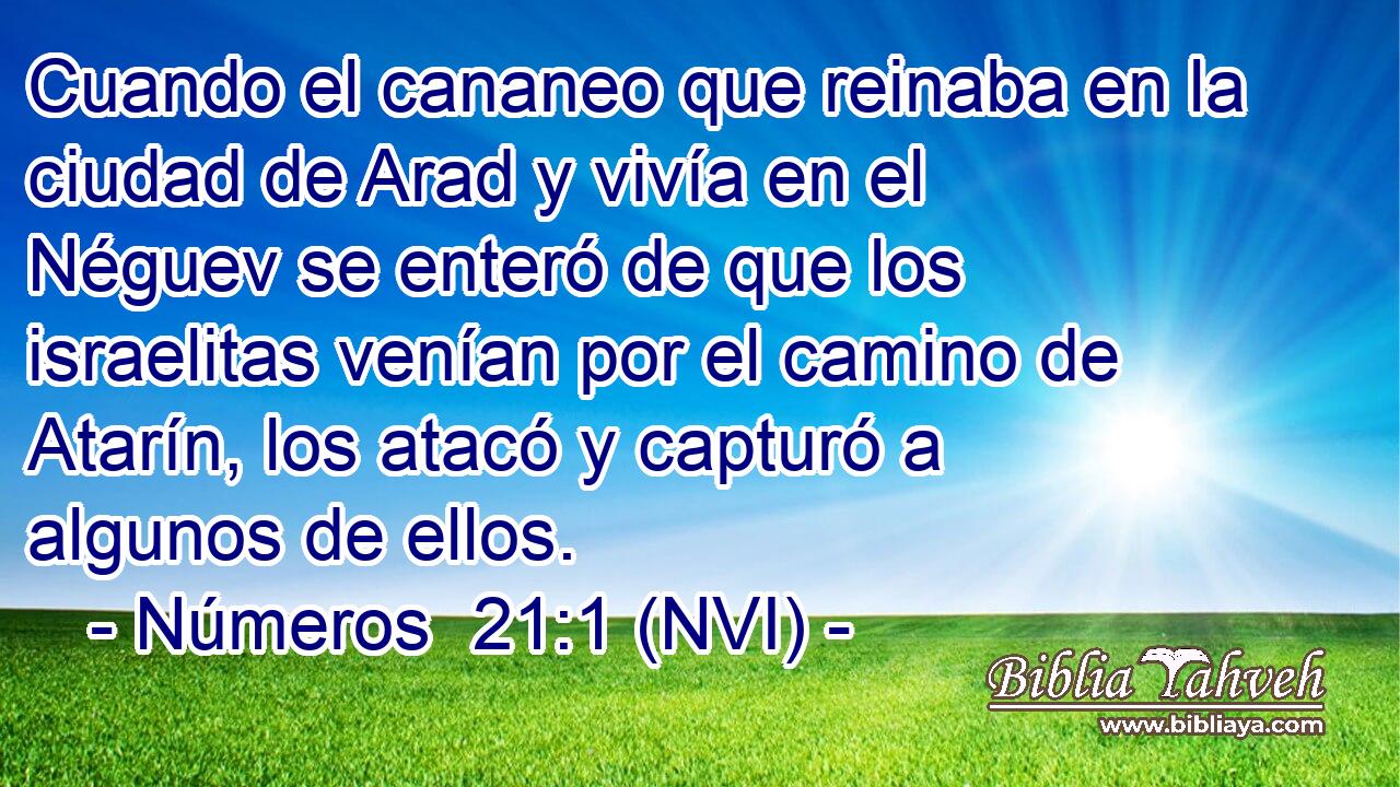  Cuando el cananeo que reinaba en la ciudad de Arad y vivía en el Néguev se enteró de que los israelitas venían por el camino de Atarín, los atacó y capturó a algunos de ellos. 