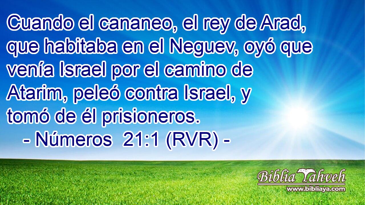 Cuando el cananeo, el rey de Arad, que habitaba en el Neguev, oyó que venía Israel por el camino de Atarim, peleó contra Israel, y tomó de él prisioneros.