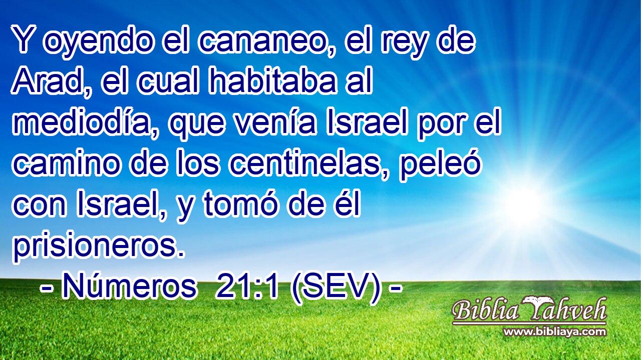 Y oyendo el cananeo, el rey de Arad, el cual habitaba al mediodía, que venía Israel por el camino de los centinelas, peleó con Israel, y tomó de él prisioneros.