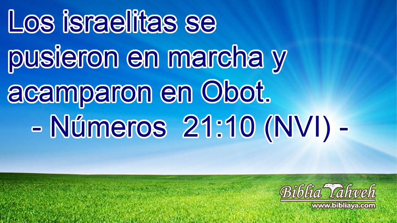  Los israelitas se pusieron en marcha y acamparon en Obot. 