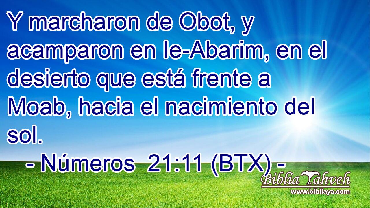 Y marcharon de Obot, y acamparon en Ie-Abarim, en el desierto que está frente a Moab, hacia el nacimiento del sol.