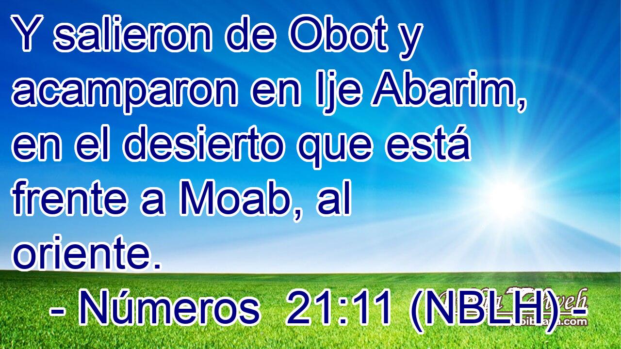  Y salieron de Obot y acamparon en Ije Abarim, en el desierto que está frente a Moab, al oriente. 