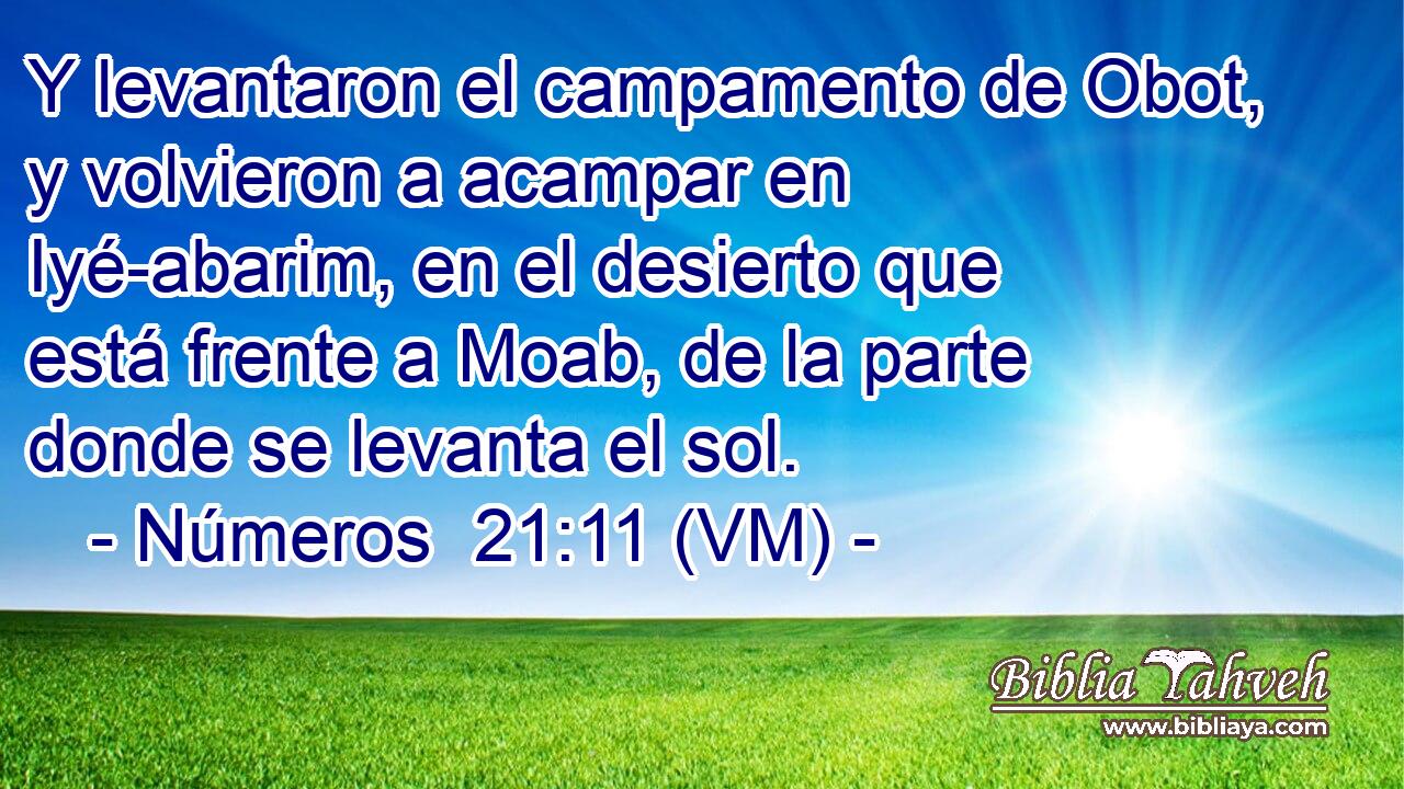  Y levantaron el campamento de Obot, y volvieron a acampar en Iyé-abarim, en el desierto que está frente a Moab, de la parte donde se levanta el sol. 