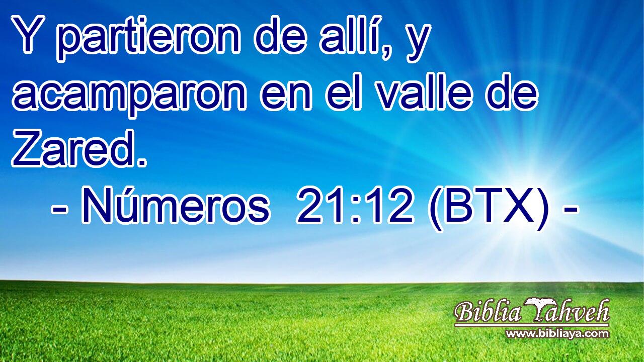 Y partieron de allí, y acamparon en el valle de Zared.