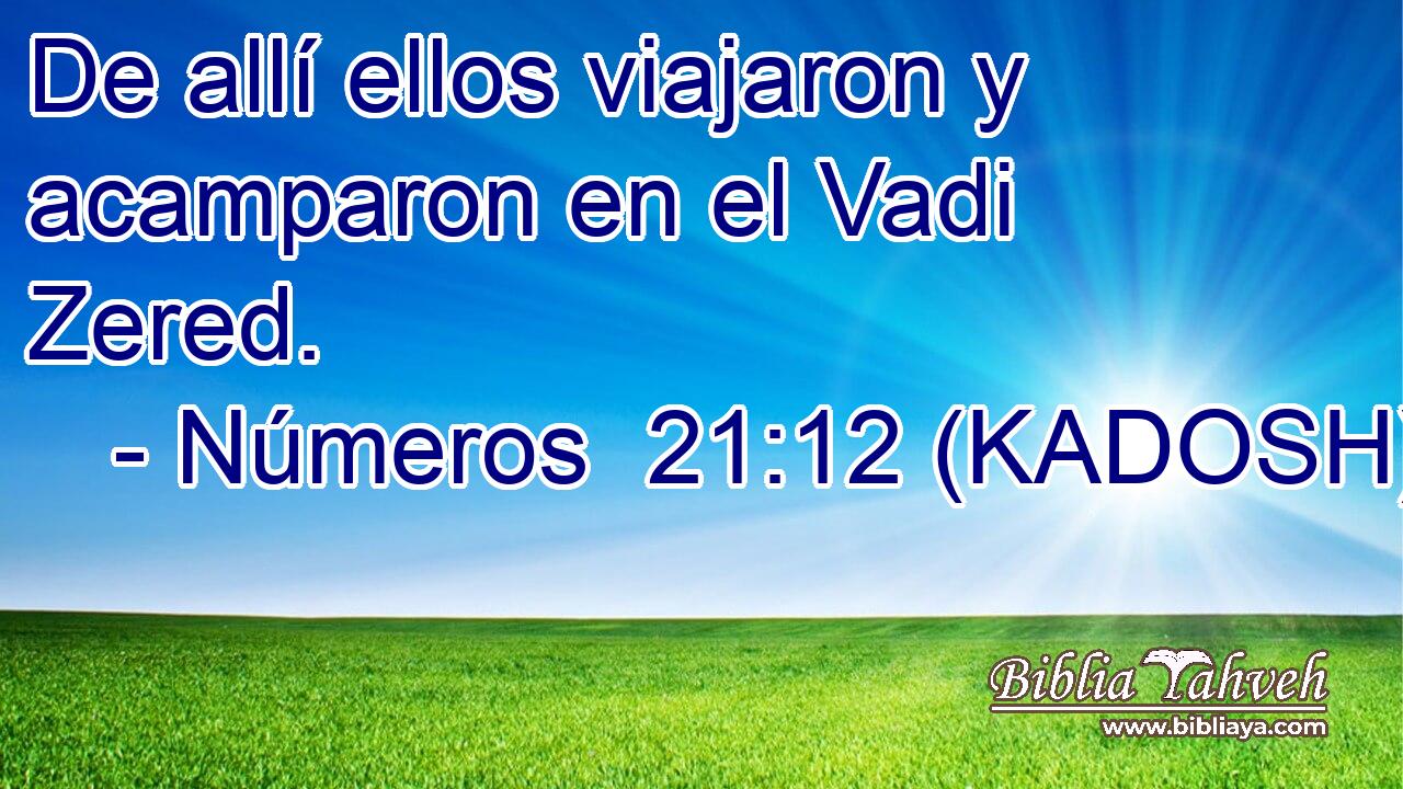  De allí ellos viajaron y acamparon en el Vadi Zered. 