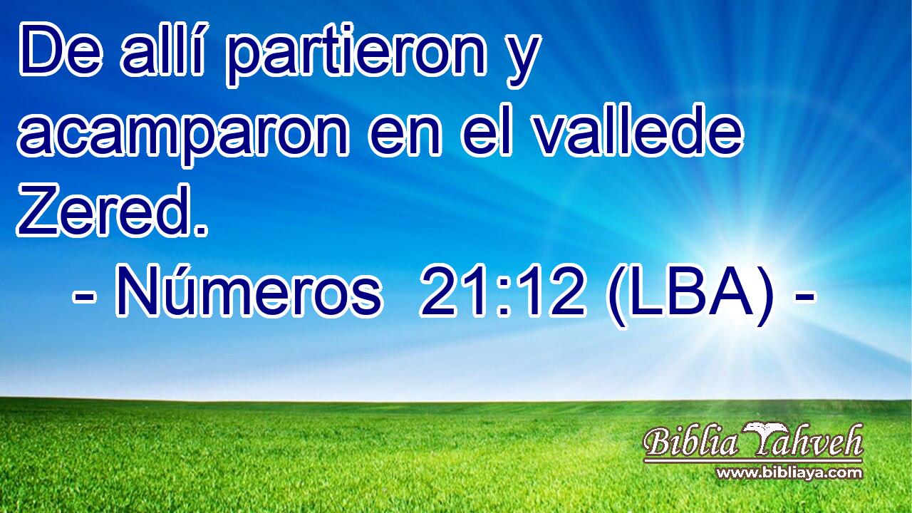 De allí partieron y acamparon en el vallede Zered.