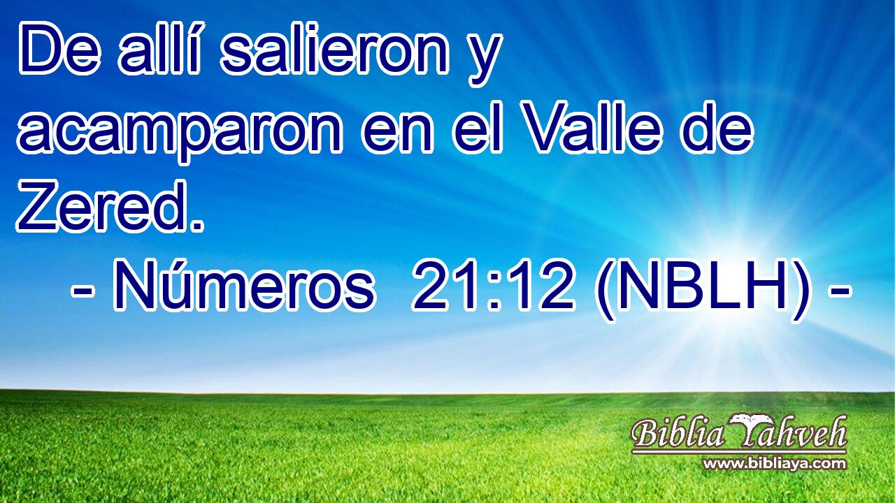  De allí salieron y acamparon en el Valle de Zered. 