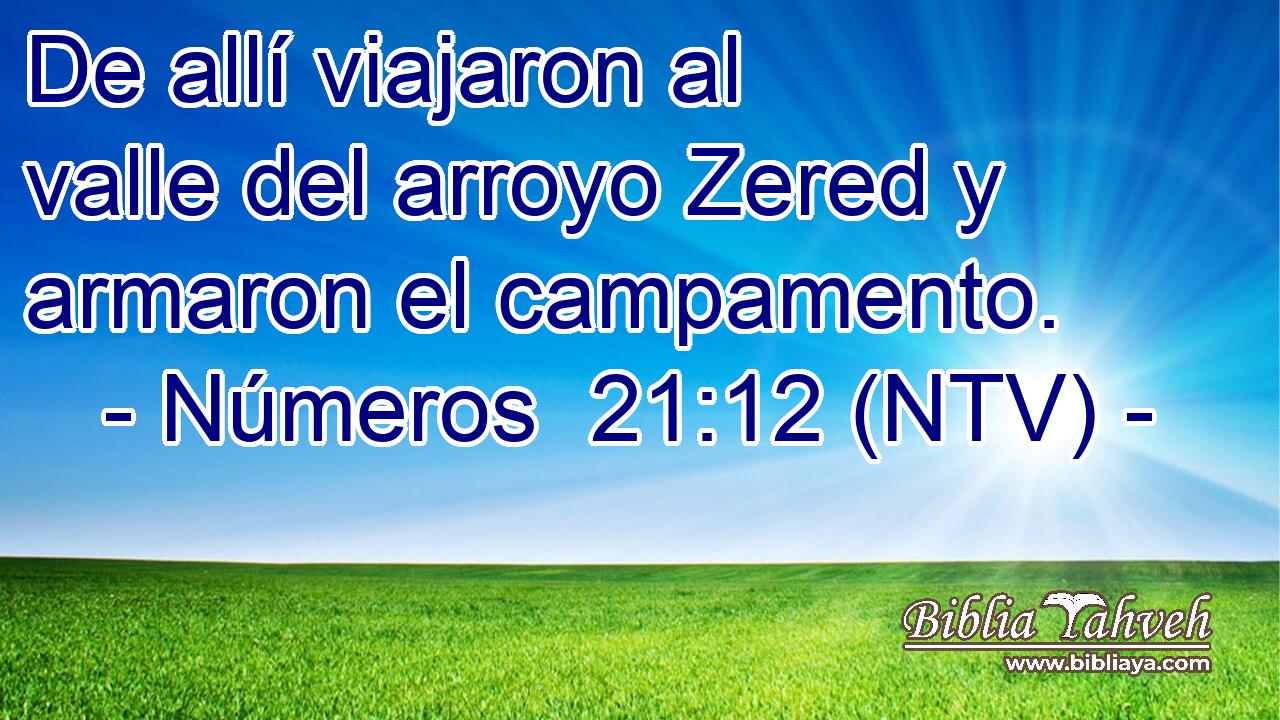 De allí viajaron al valle del arroyo Zered y armaron el campamento.