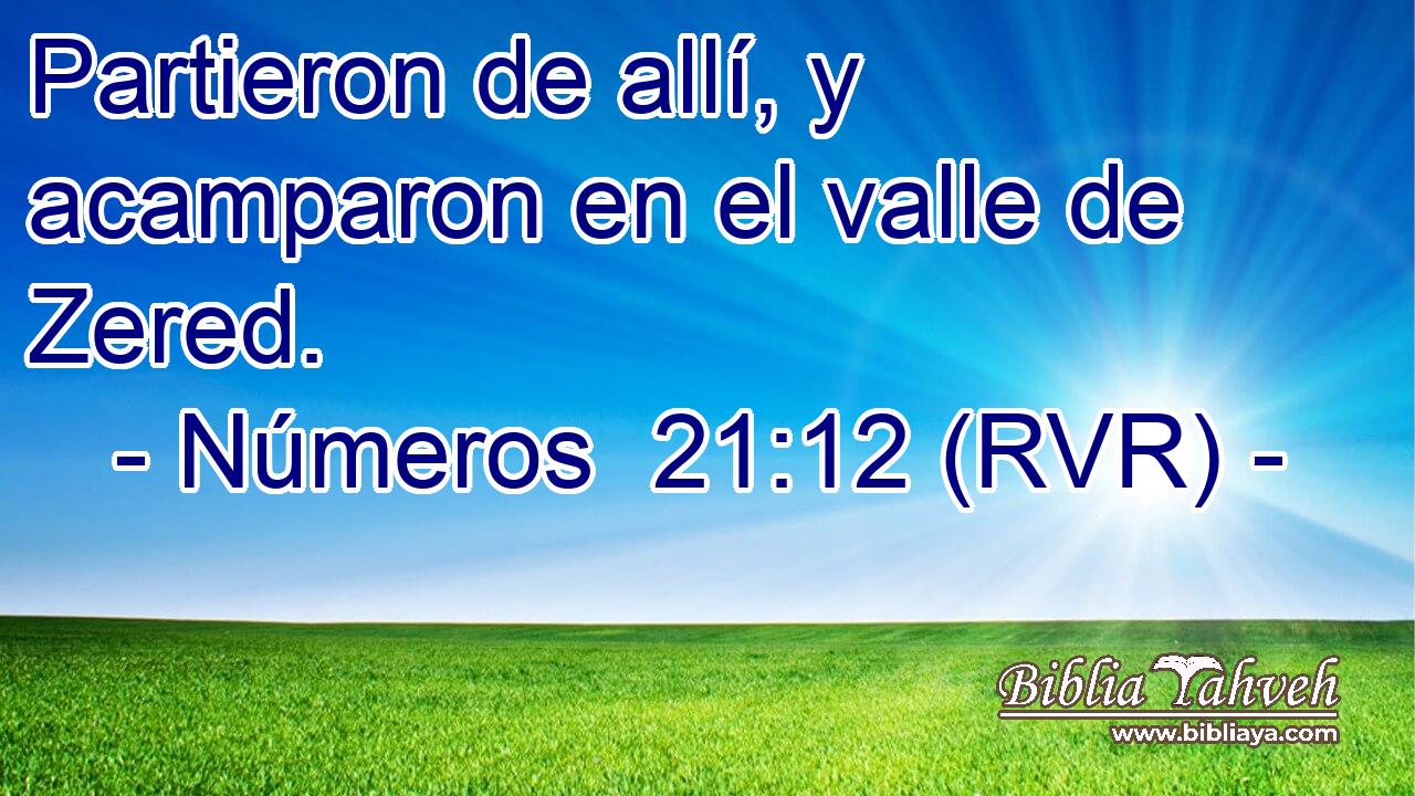Partieron de allí, y acamparon en el valle de Zered.