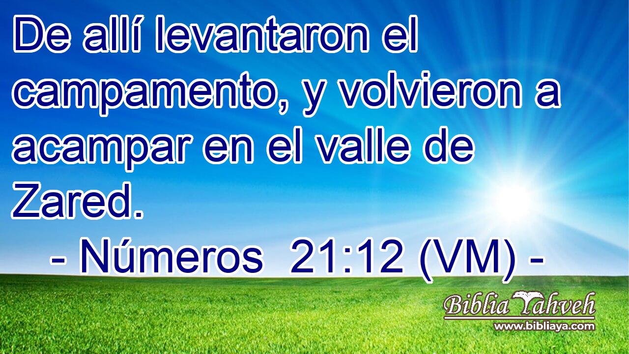  De allí levantaron el campamento, y volvieron a acampar en el valle de Zared. 