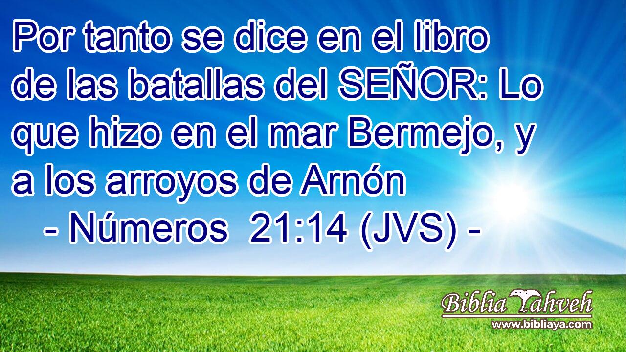 Por tanto se dice en el libro de las batallas del SEÑOR: Lo que hizo en el mar Bermejo, y a los arroyos de Arnón