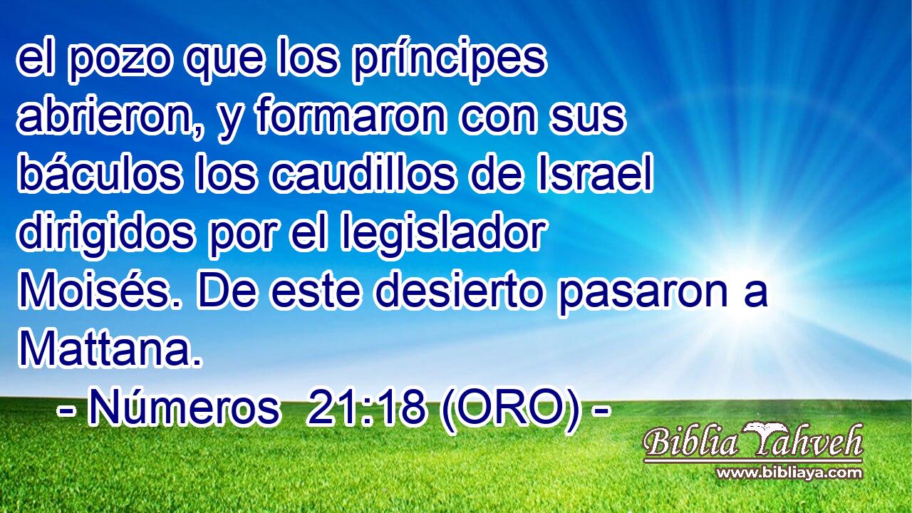  el pozo que los príncipes abrieron, y formaron con sus báculos los caudillos de Israel dirigidos por el legislador Moisés. De este desierto pasaron a Mattana. 