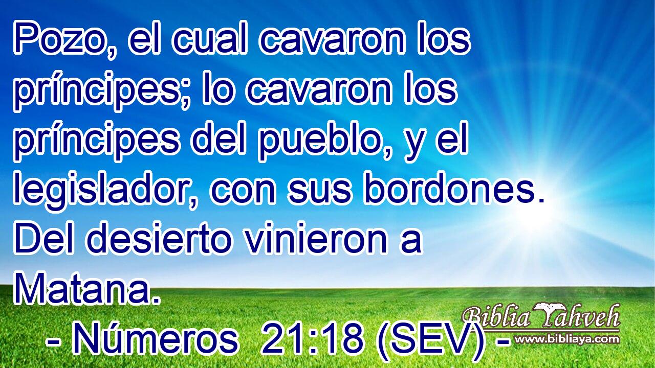 Pozo, el cual cavaron los príncipes; lo cavaron los príncipes del pueblo, y el legislador, con sus bordones. Del desierto vinieron a Matana.