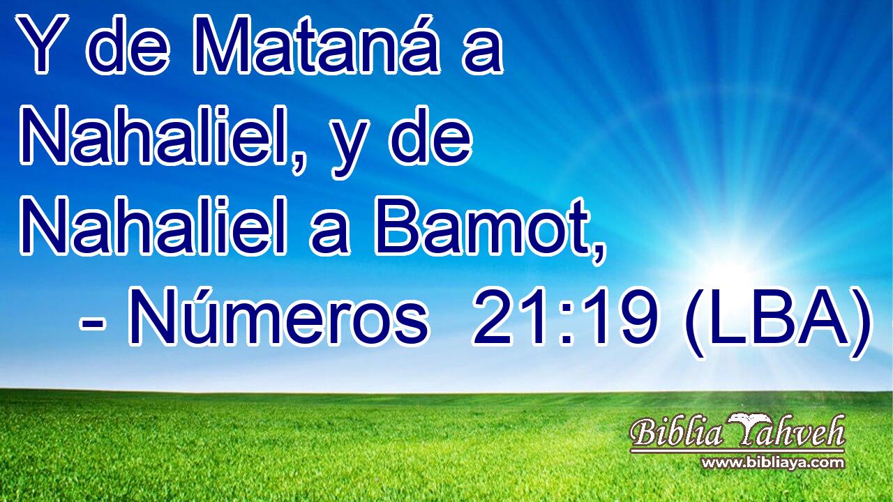 Y de Mataná a Nahaliel, y de Nahaliel a Bamot,