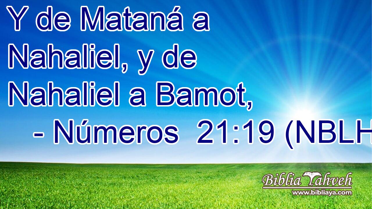  Y de Mataná a Nahaliel, y de Nahaliel a Bamot, 