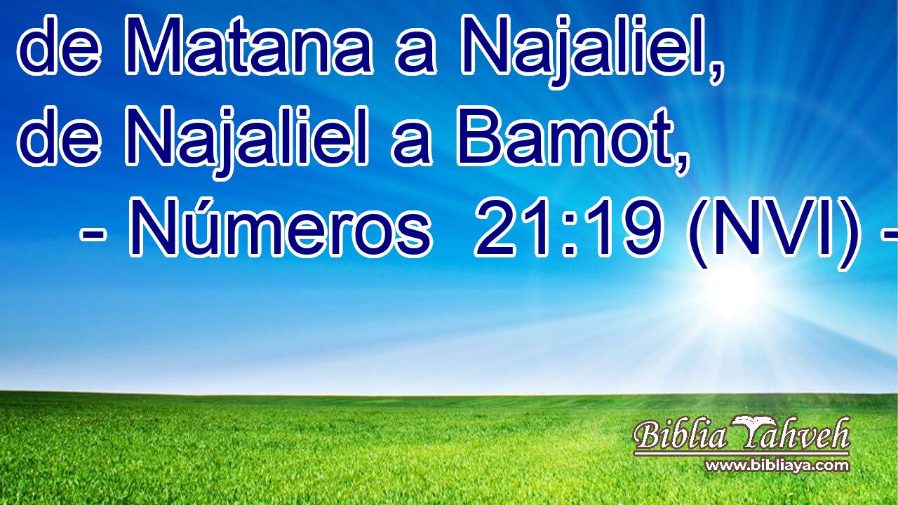  de Matana a Najaliel, de Najaliel a Bamot, 