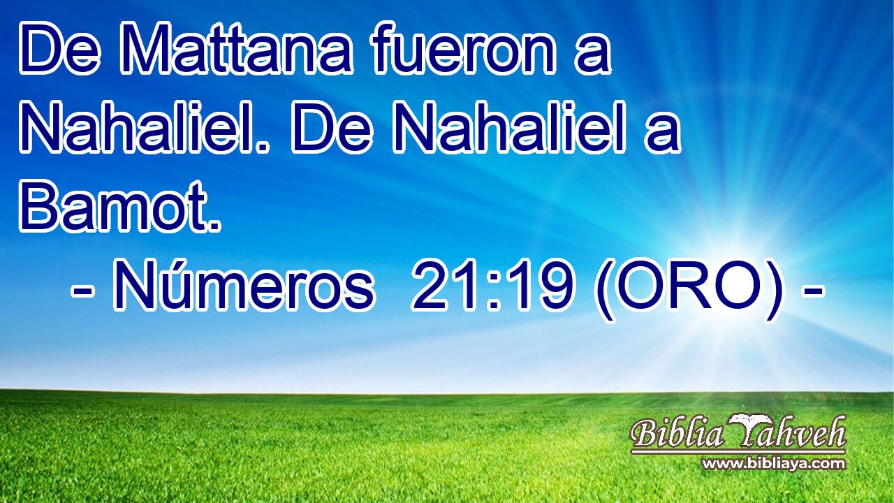  De Mattana fueron a Nahaliel. De Nahaliel a Bamot. 