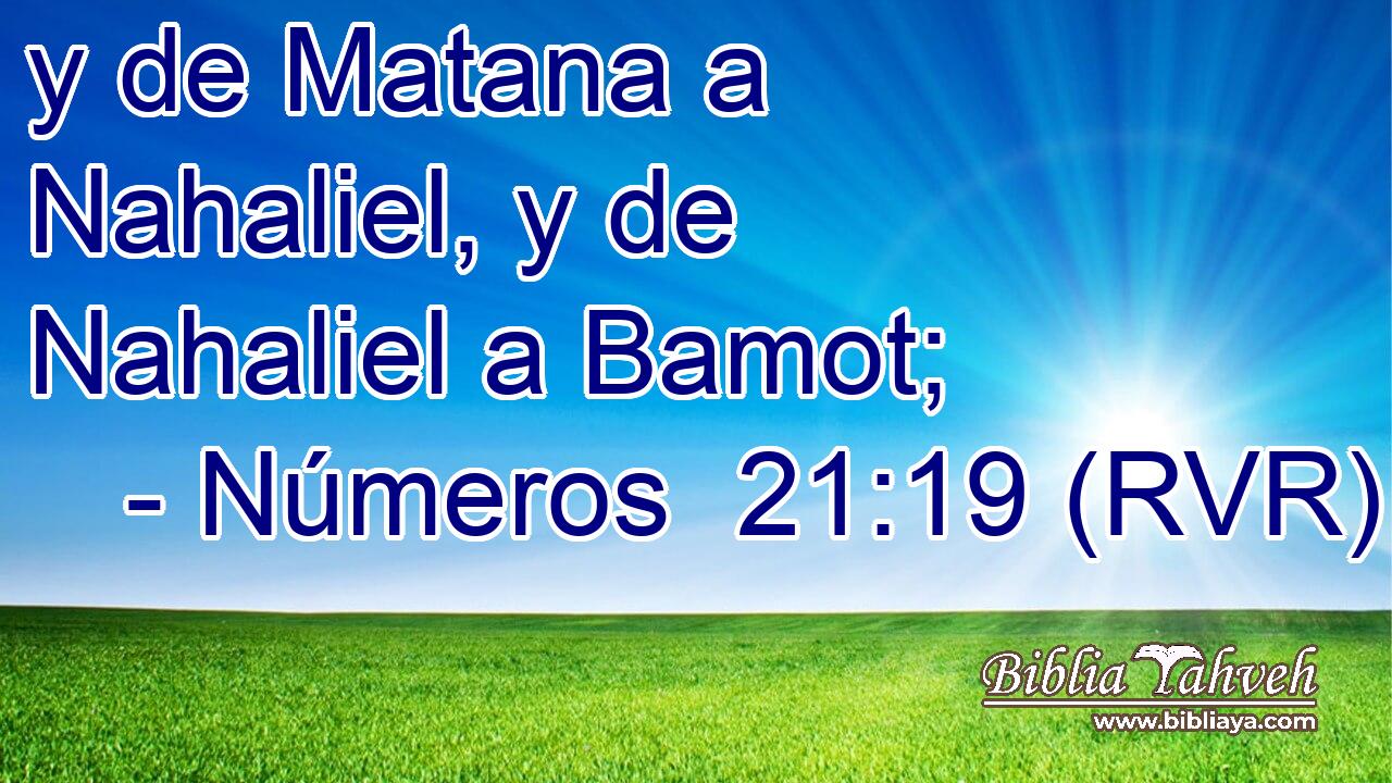 y de Matana a Nahaliel, y de Nahaliel a Bamot;
