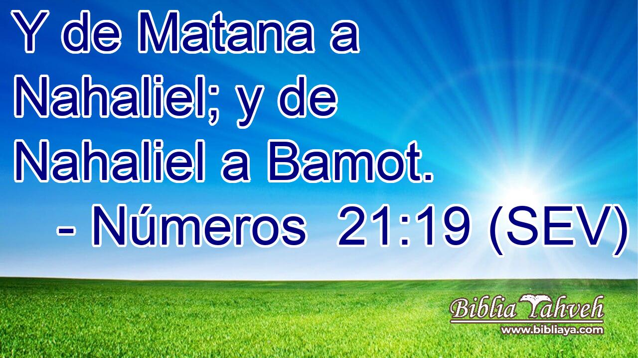 Y de Matana a Nahaliel; y de Nahaliel a Bamot.