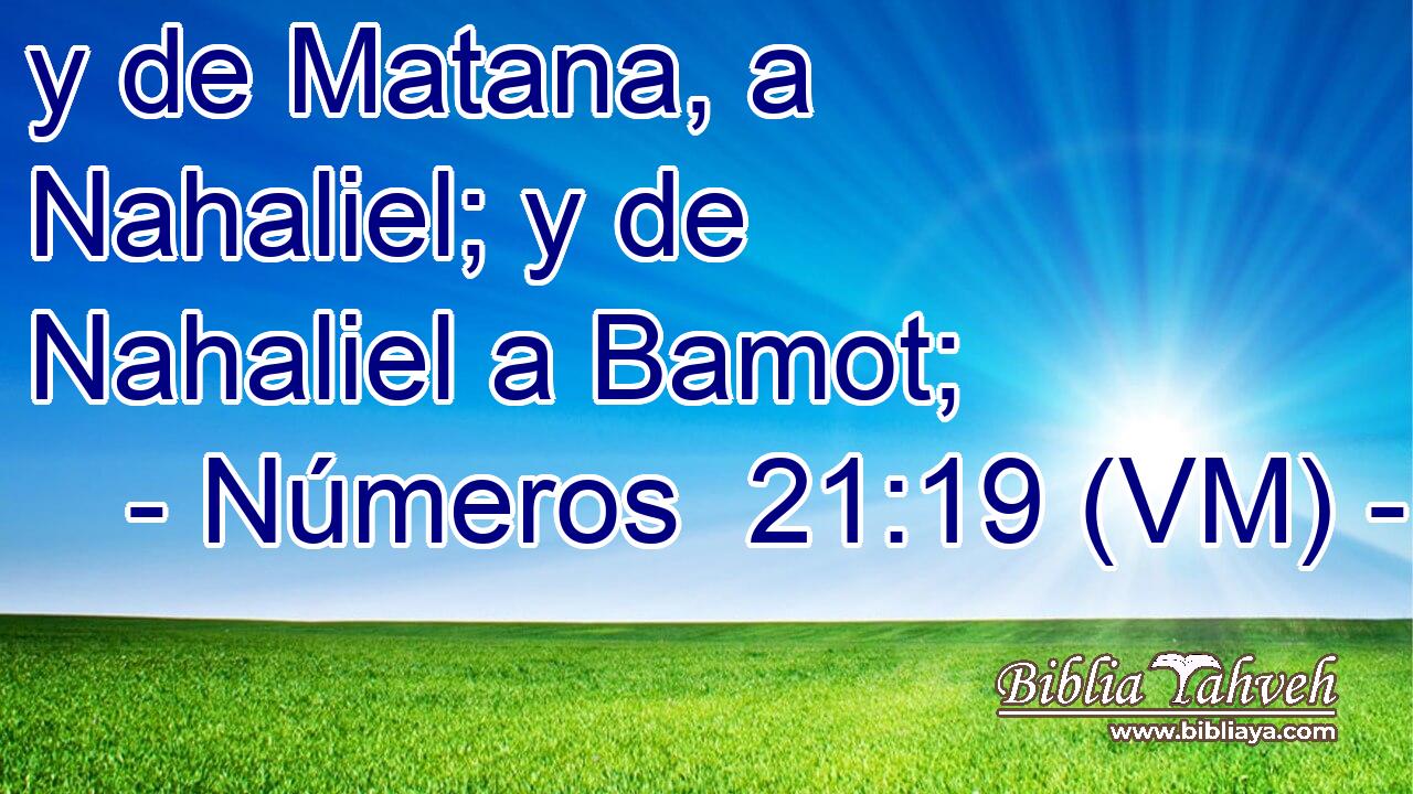  y de Matana, a Nahaliel; y de Nahaliel a Bamot; 