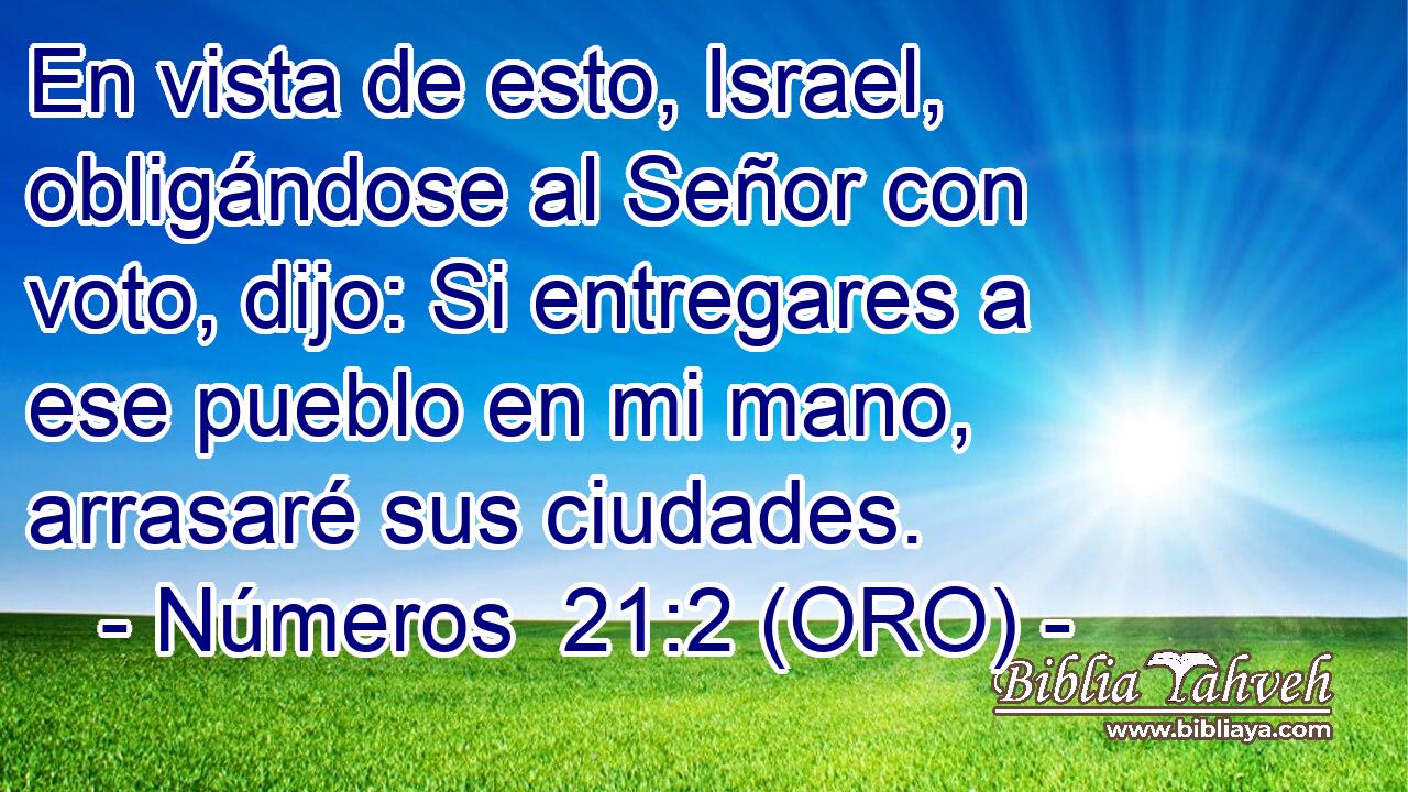  En vista de esto, Israel, obligándose al Señor con voto, dijo: Si entregares a ese pueblo en mi mano, arrasaré sus ciudades. 
