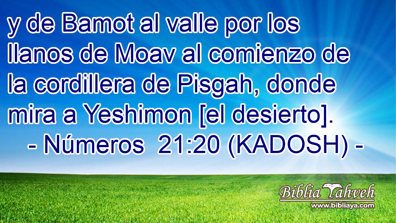  y de Bamot al valle por los llanos de Moav al comienzo de la cordillera de Pisgah, donde mira a Yeshimon [el desierto]. 