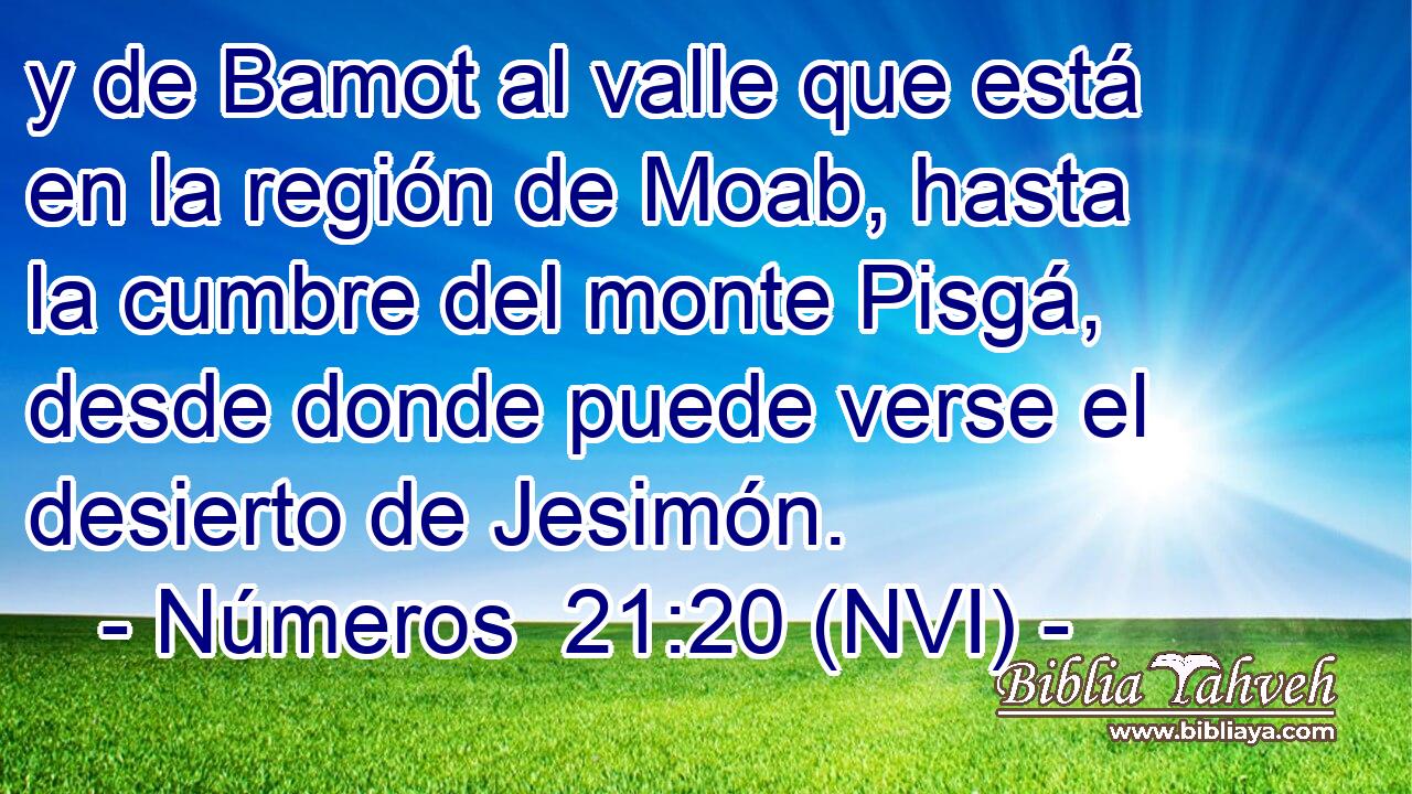  y de Bamot al valle que está en la región de Moab, hasta la cumbre del monte Pisgá, desde donde puede verse el desierto de Jesimón. 