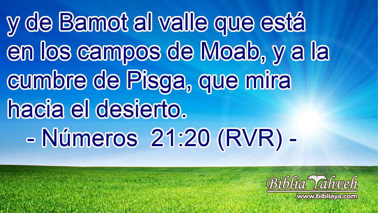 y de Bamot al valle que está en los campos de Moab, y a la cumbre de Pisga, que mira hacia el desierto.