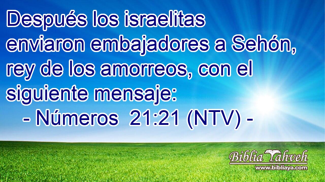 Después los israelitas enviaron embajadores a Sehón, rey de los amorreos, con el siguiente mensaje: