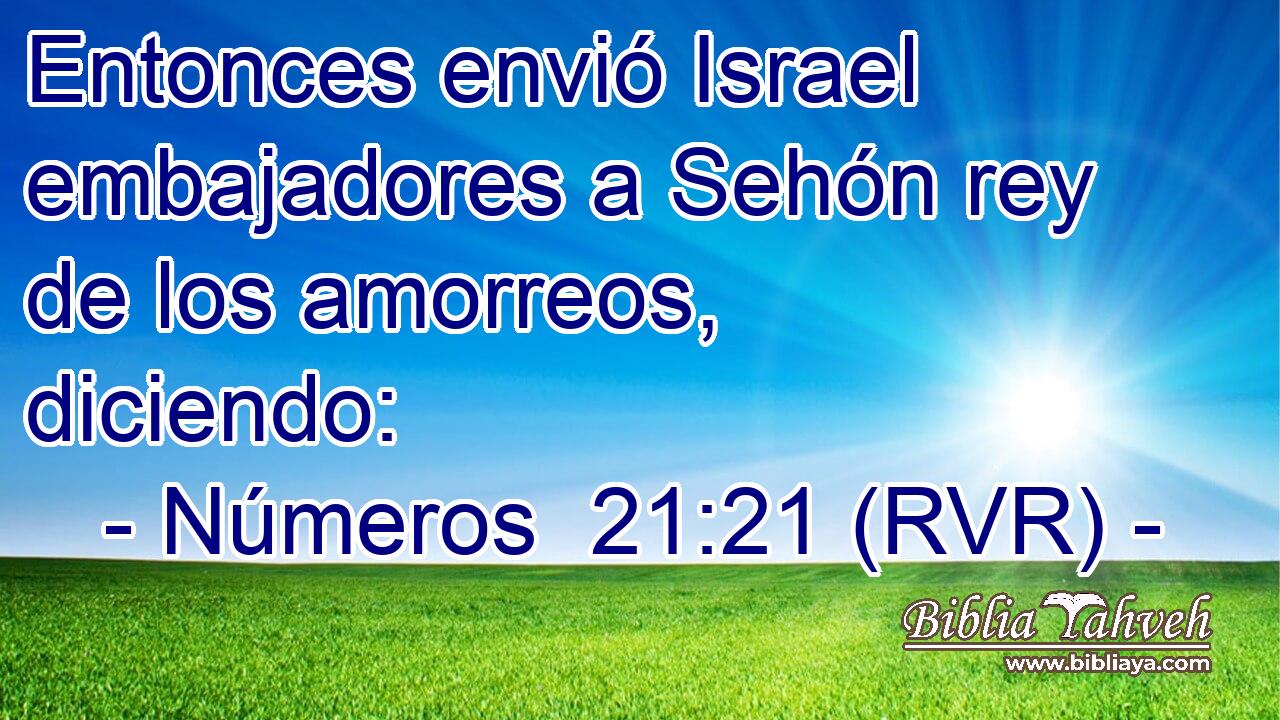 Entonces envió Israel embajadores a Sehón rey de los amorreos, diciendo: