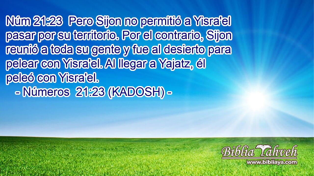  Pero Sijon no permitió a Yisra'el pasar por su territorio. Por el contrario, Sijon reunió a toda su gente y fue al desierto para pelear con Yisra'el. Al llegar a Yajatz, él peleó con Yisra'el. 