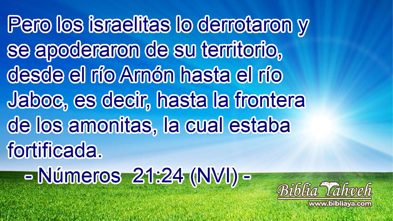  Pero los israelitas lo derrotaron y se apoderaron de su territorio, desde el río Arnón hasta el río Jaboc, es decir, hasta la frontera de los amonitas, la cual estaba fortificada. 