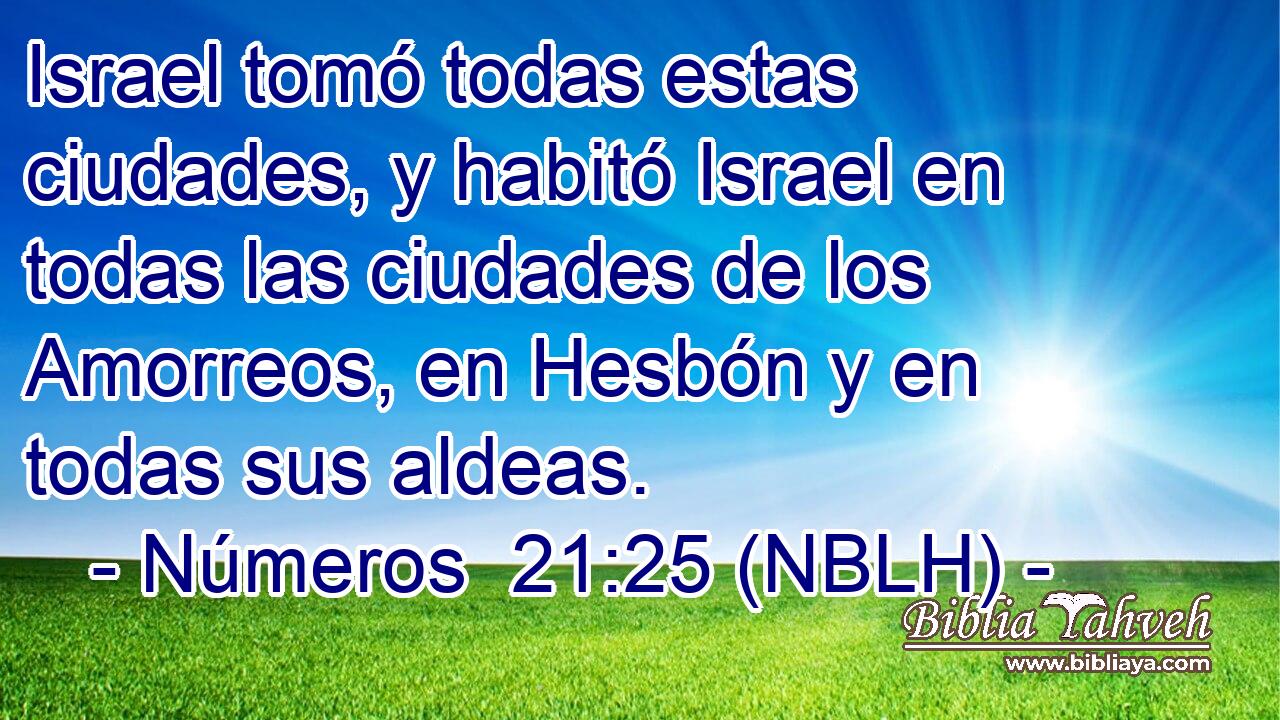 Israel tomó todas estas ciudades, y habitó Israel en todas las ciudades de los Amorreos, en Hesbón y en todas sus aldeas. 