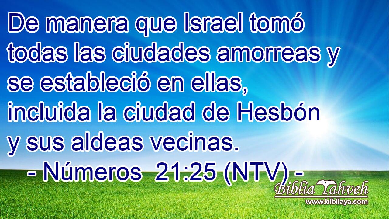 De manera que Israel tomó todas las ciudades amorreas y se estableció en ellas, incluida la ciudad de Hesbón y sus aldeas vecinas.
