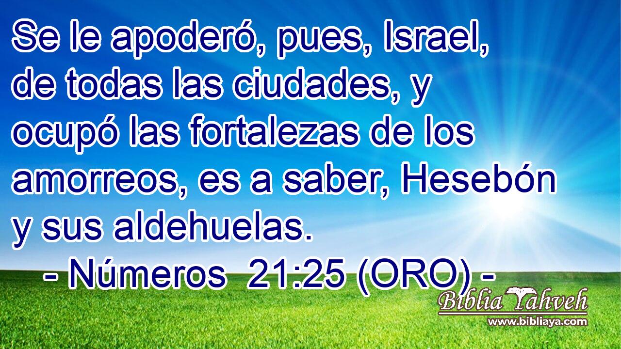  Se le apoderó, pues, Israel, de todas las ciudades, y ocupó las fortalezas de los amorreos, es a saber, Hesebón y sus aldehuelas. 