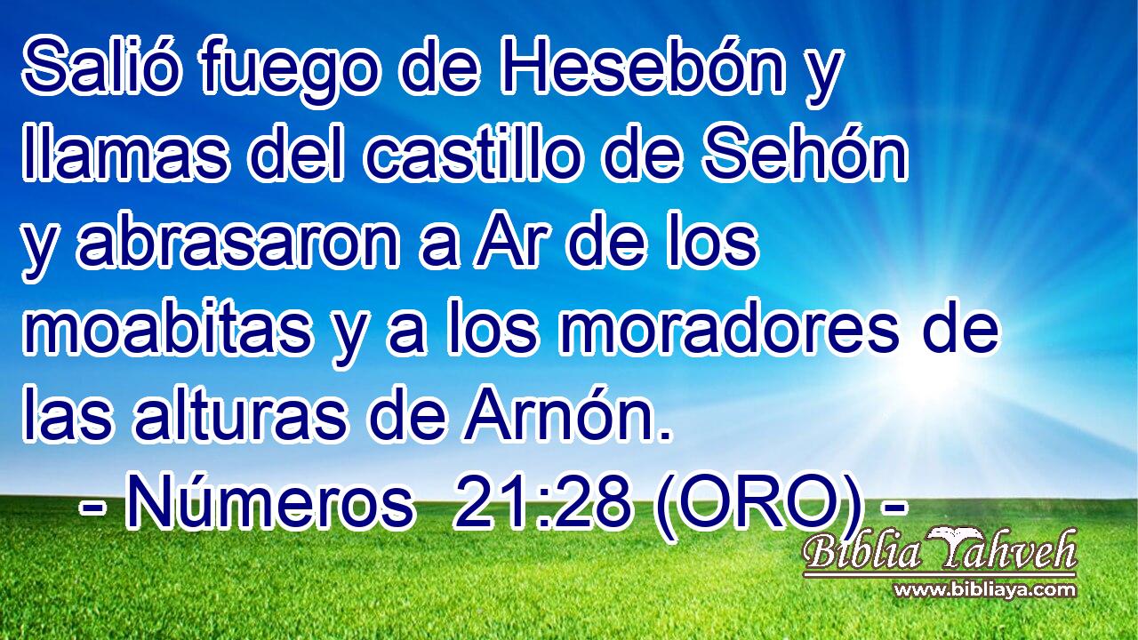 Salió fuego de Hesebón y llamas del castillo de Sehón y abrasaron a Ar de los moabitas y a los moradores de las alturas de Arnón. 