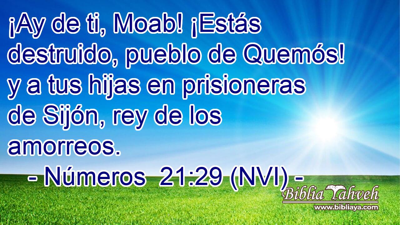 ¡Ay de ti, Moab! ¡Estás destruido, pueblo de Quemós! y a tus hijas en prisioneras de Sijón, rey de los amorreos. 